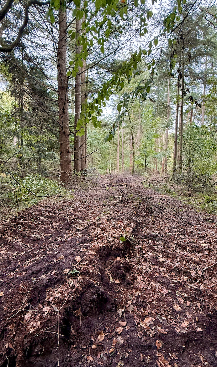 Boskap10