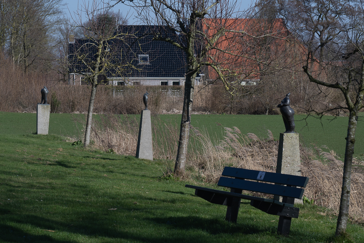 famkes fan kolderwolde 18 w