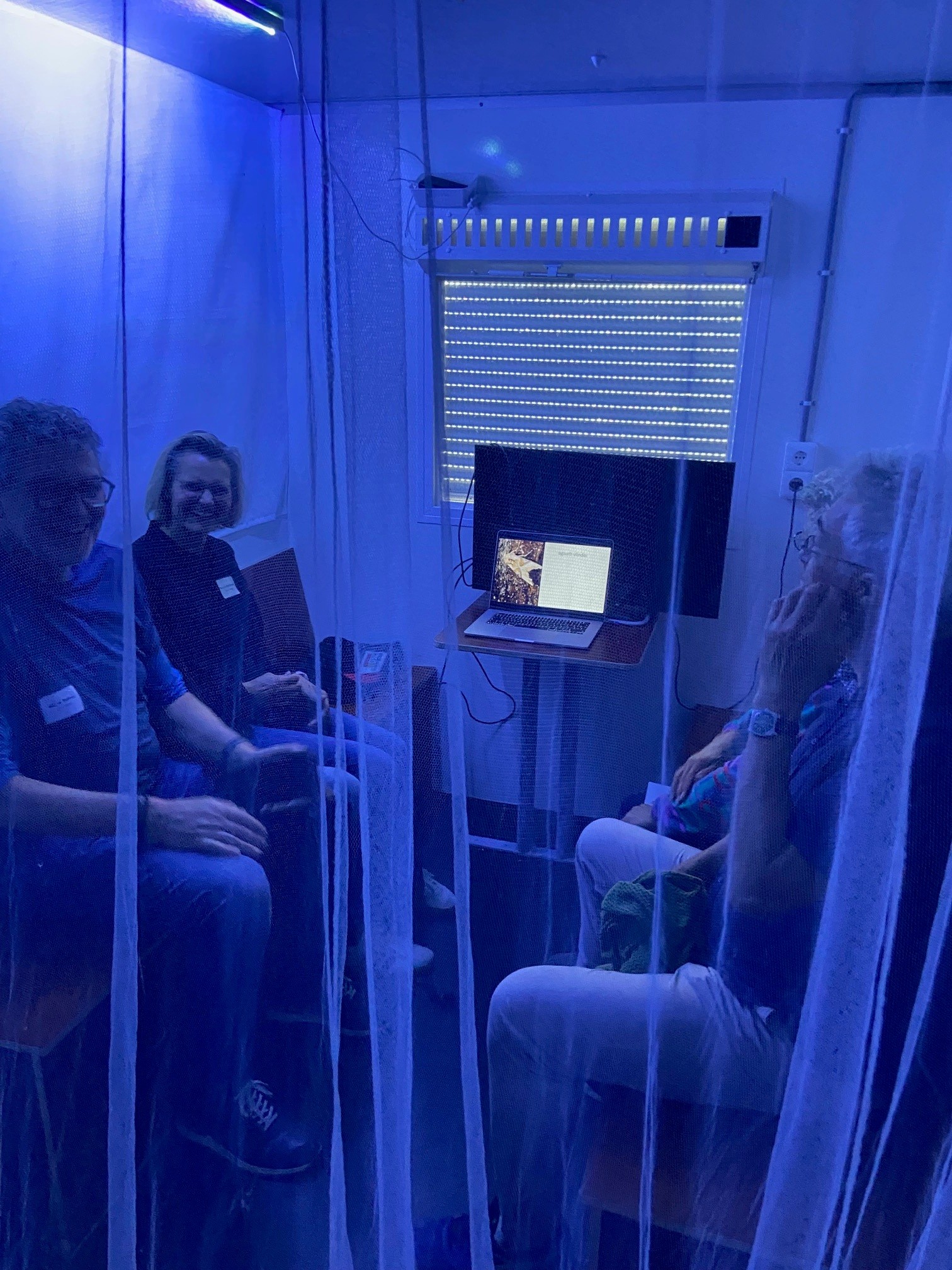 in de vlinderbioscoop