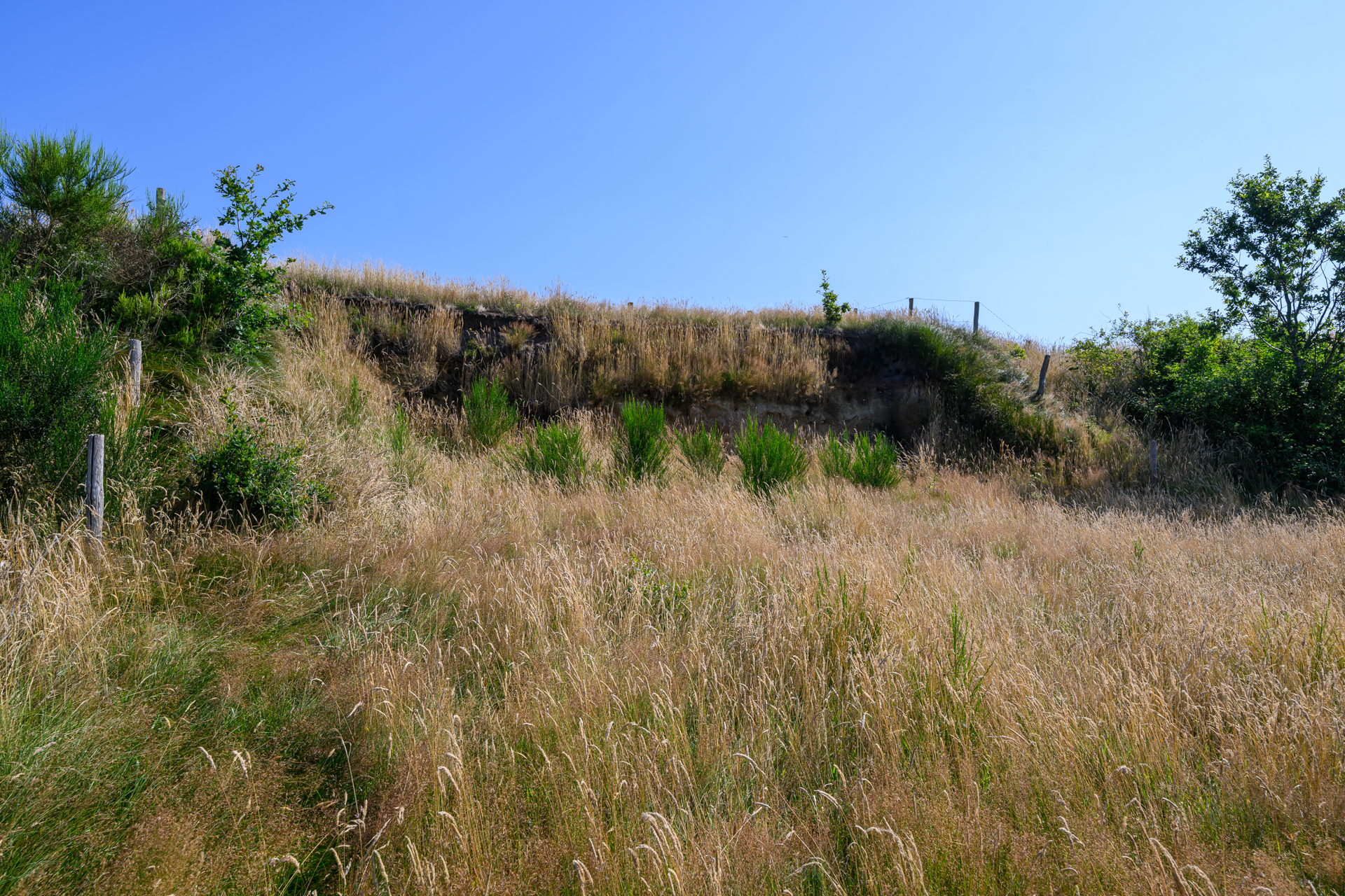 OudeMirdemerklif  2240720