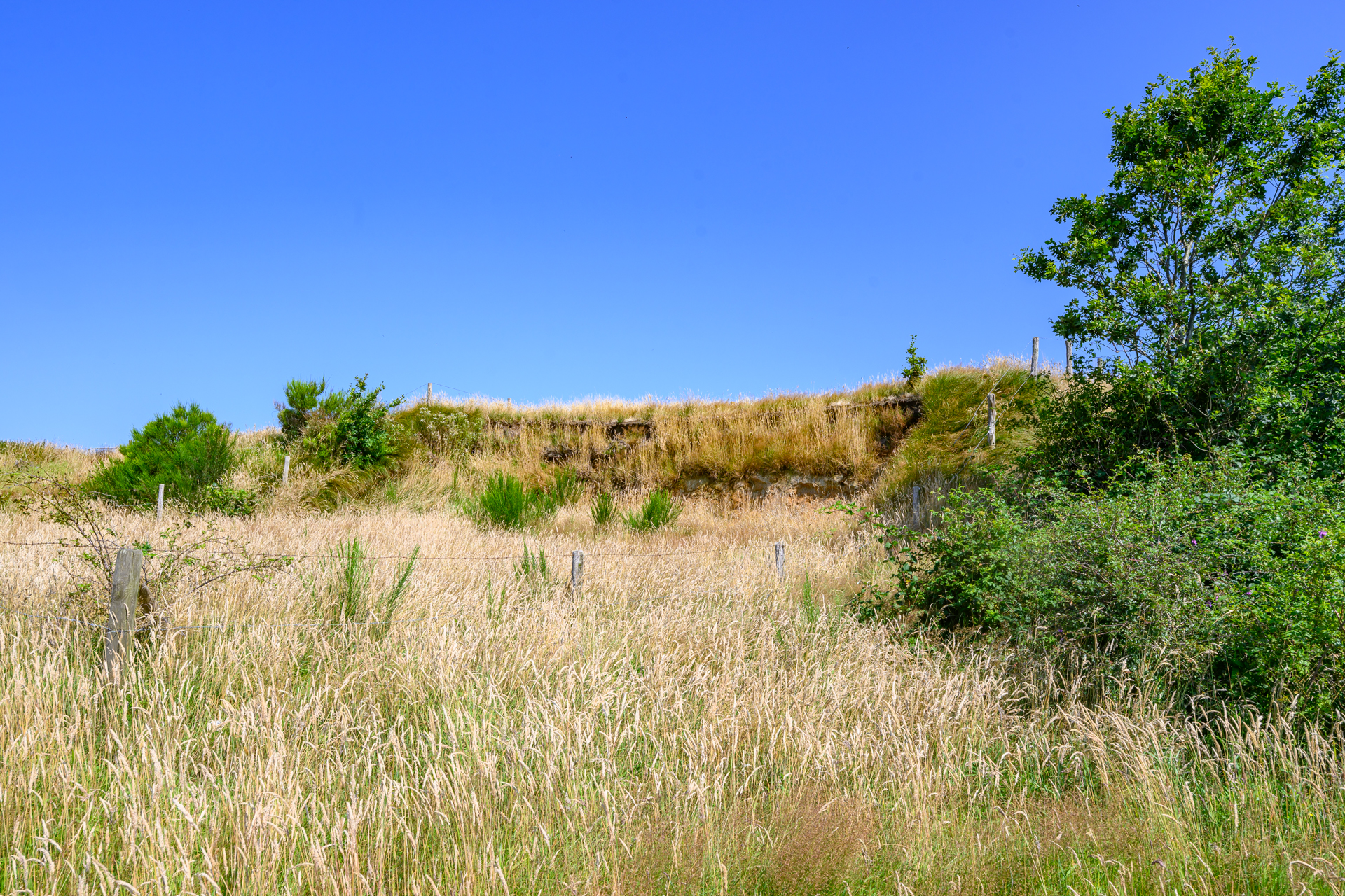 OudeMirdemerklif  9240720