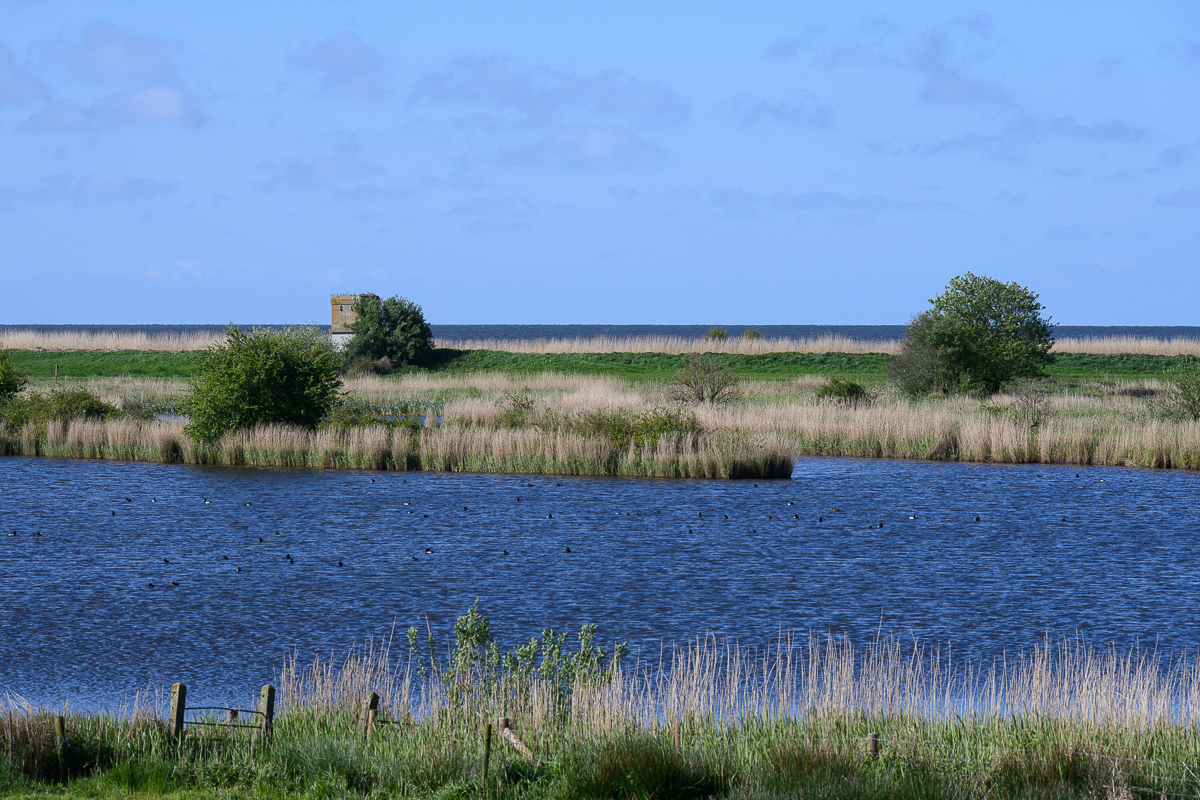 Uitheiingpolder 1
