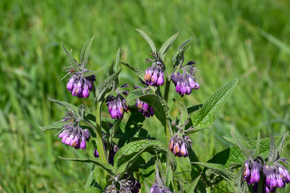 Uitheiingpolder 13