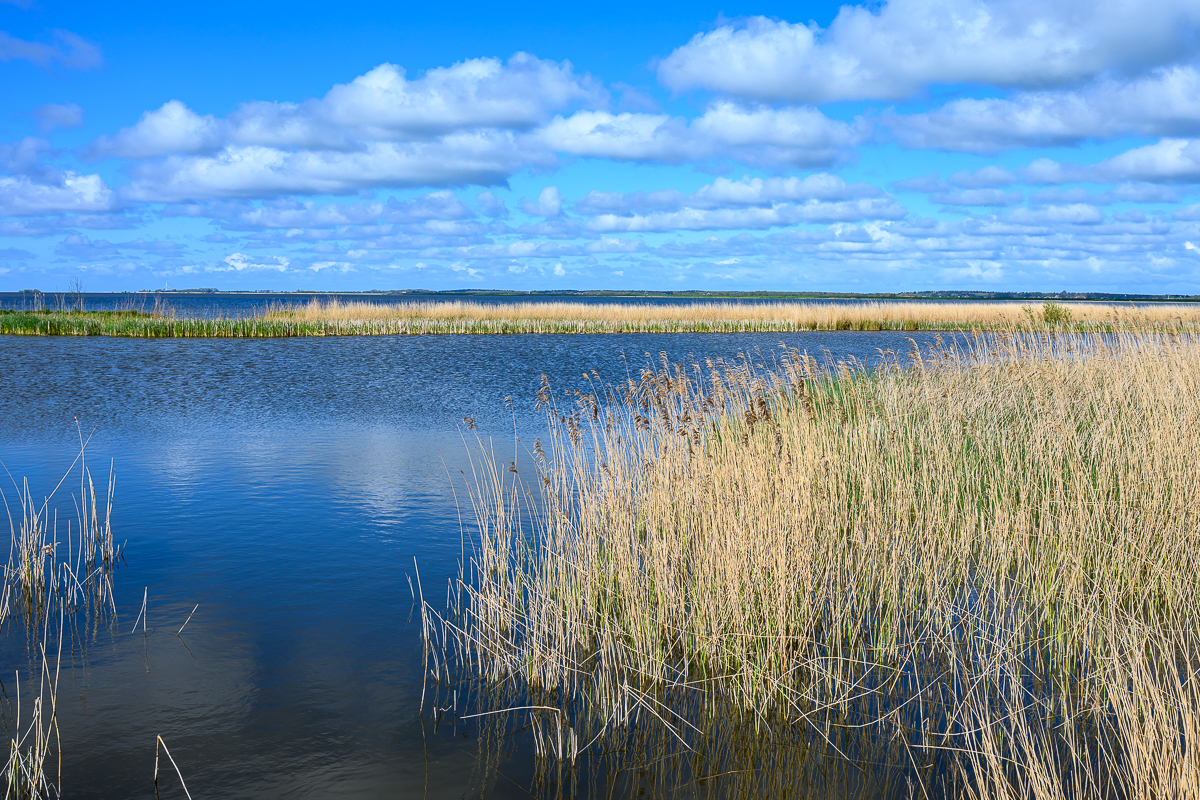 Uitheiingpolder 3