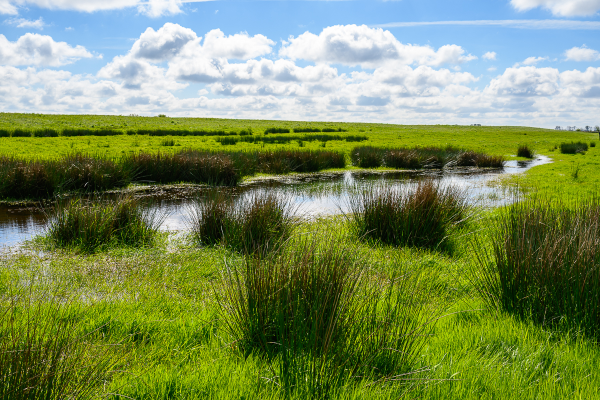 Uitheiingpolder 4