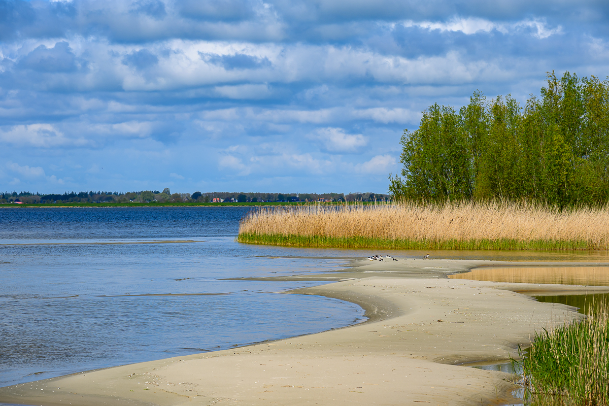 Uitheiingpolder 6