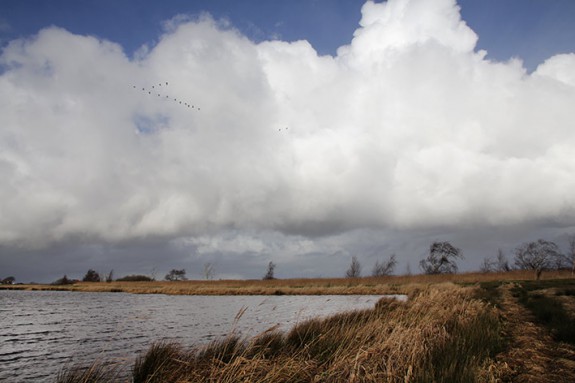 Veen- en merengebied