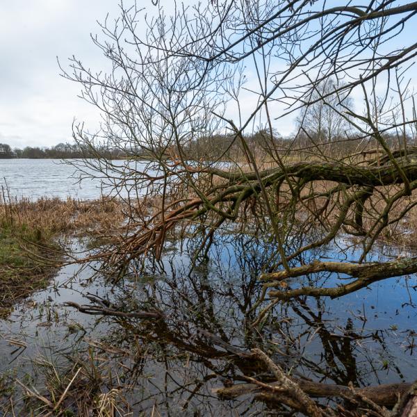 Wyldemerk Winter 2026 11