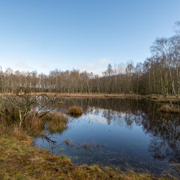 Wyldemerk Winter 2026 2