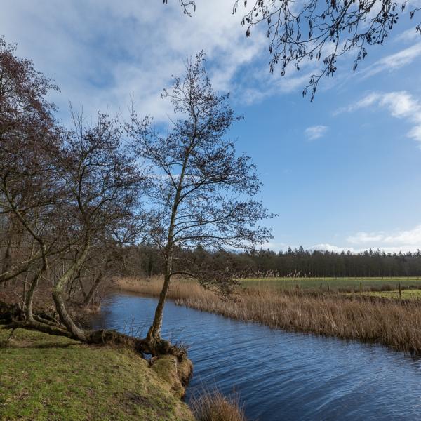 Wyldemerk Winter 2026 9