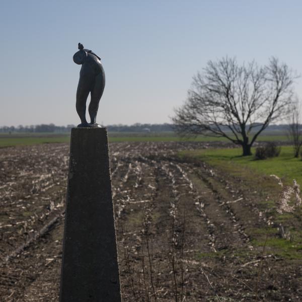 Famkes Fan Kolderwolde 10