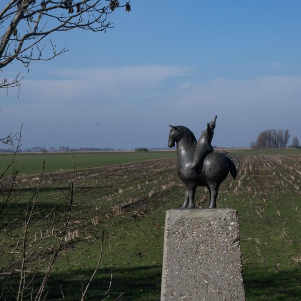 Famkes Fan Kolderwolde 19