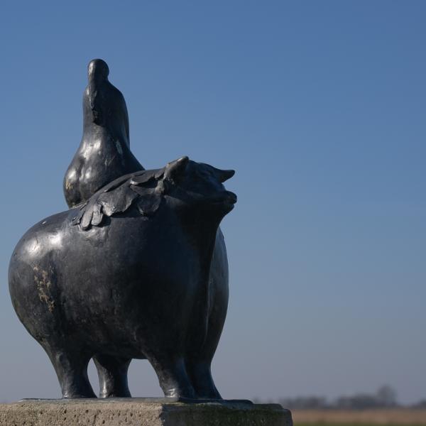 Famkes Fan Kolderwolde 35 W